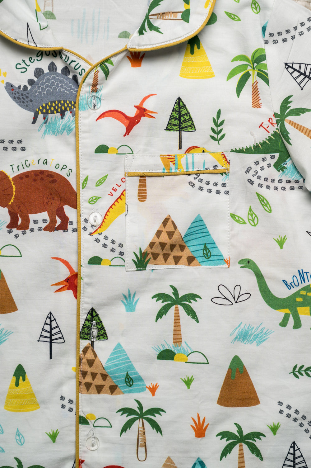 Fun With Dinosaurs Organic Cotton Nightsuit